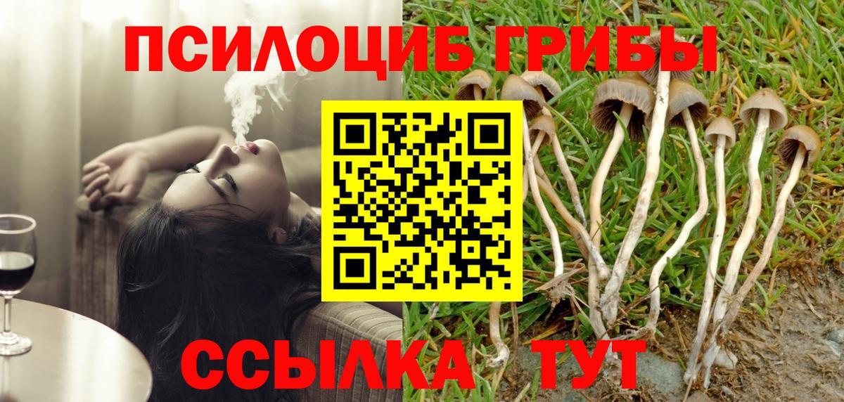 Галлюциногенные грибы мицелий Качканар