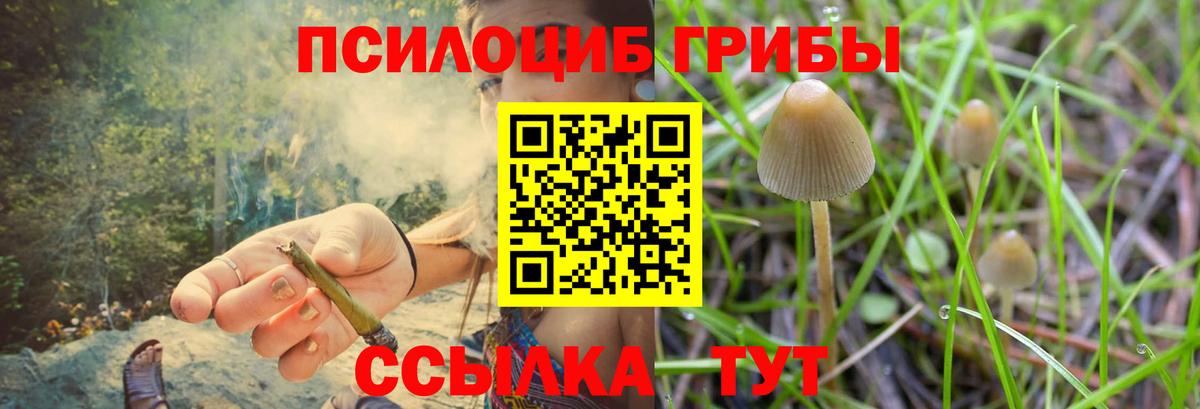 Псилоцибиновые грибы мицелий  Вход с VPN  Качканар 